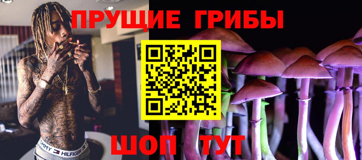 Минусинск  Псилоцибиновые грибы MAGIC MUSHROOMS  Вход с VPN 